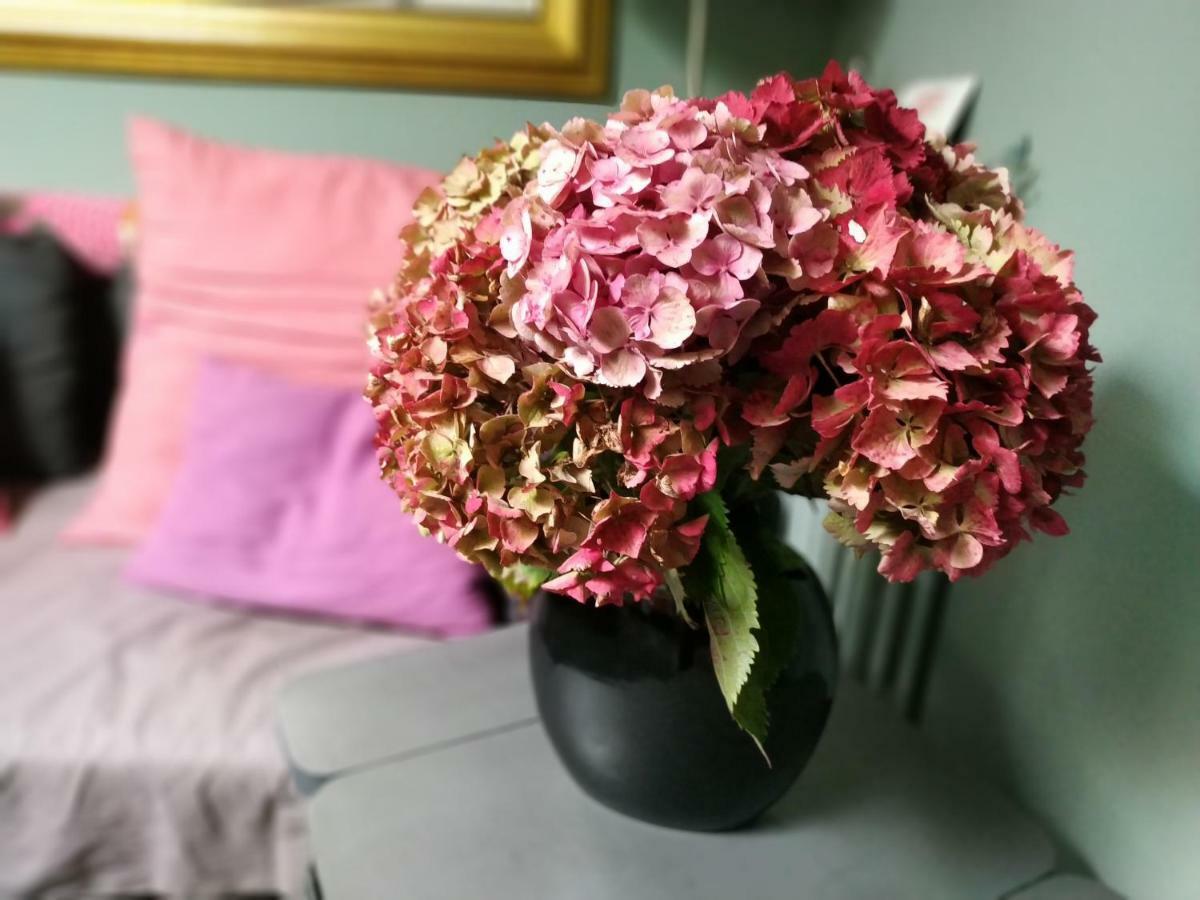 Chez Anne Apartman Fécamp Kültér fotó